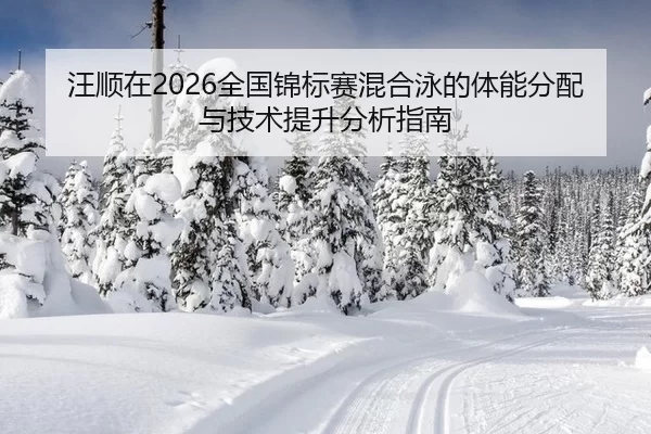 wang-shun-zai-quan-guo-jin-biao-sai-hun-he-yong-de-ti-neng-fen-pei-yu-ji-shu-ti-sheng-fen-xi-zhi-nan-2-750.jpg